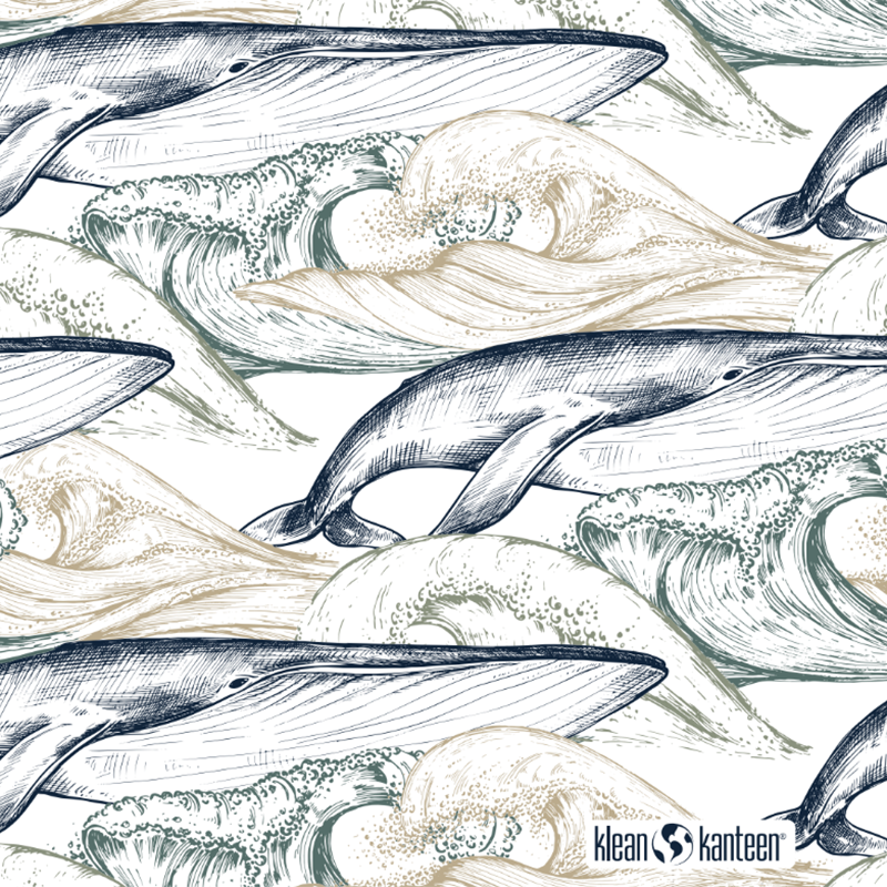 20oz-tkwide-with-twist-cap-ocean-day-t3 20oz_tkwide_bottle_seasonal_ocean_day_whale_artwork_square.png