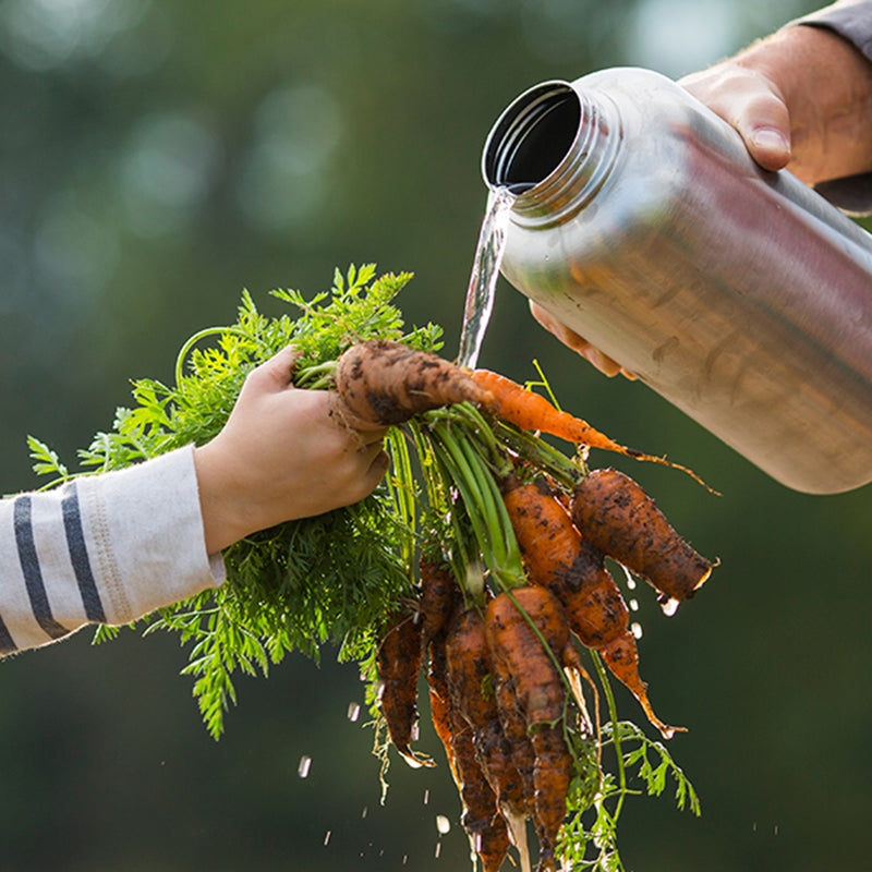 64oz-wide-with-loop-cap-p3 64oz_wide_mouth_bottle_carrots_rinse_square.jpg