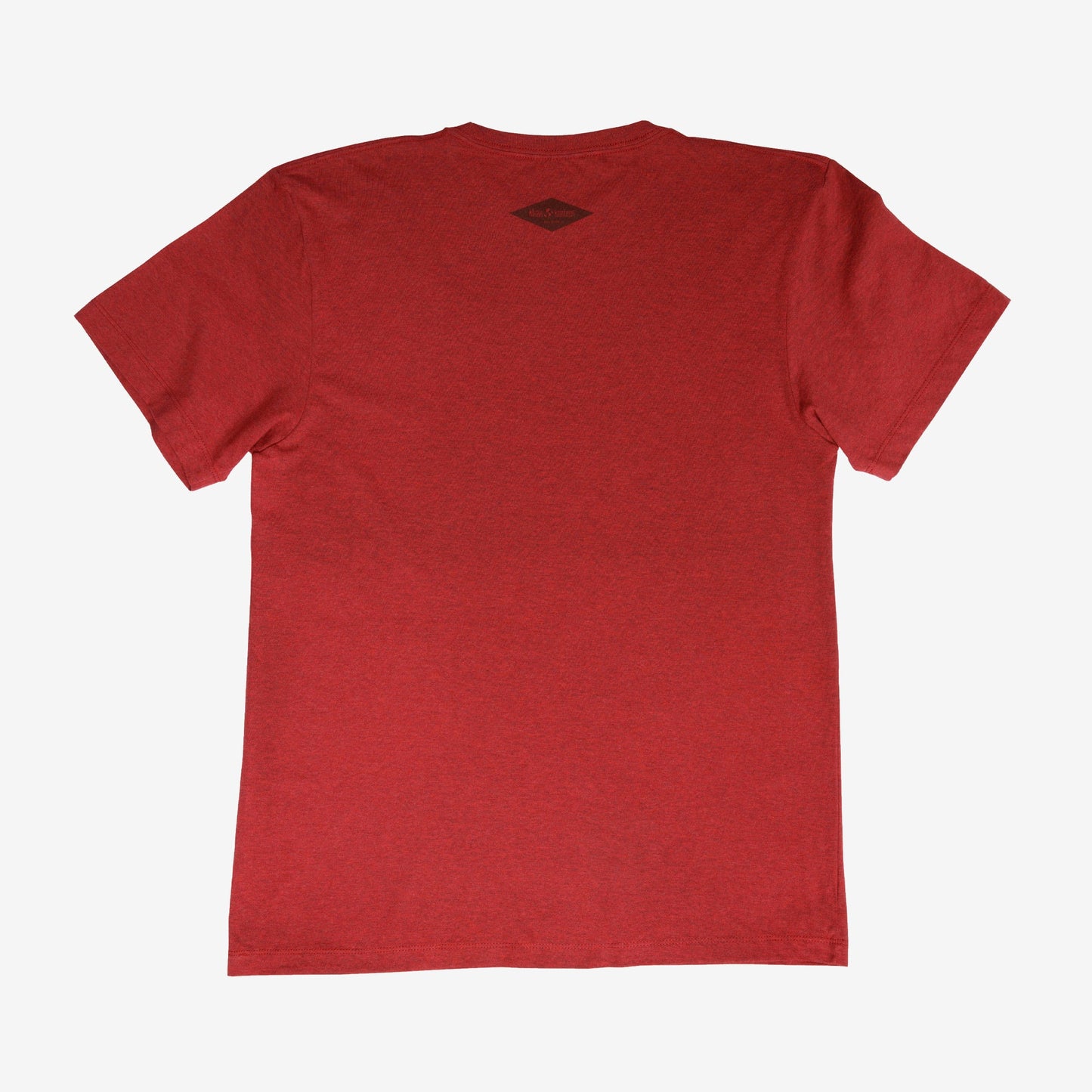 backyard-t-shirt-a7 Shirt_Mtn_Back.jpg